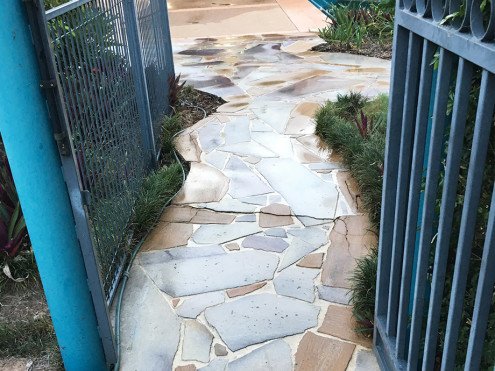 Stone path after professional cleaning