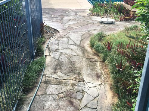 Stone path before professional cleaning
