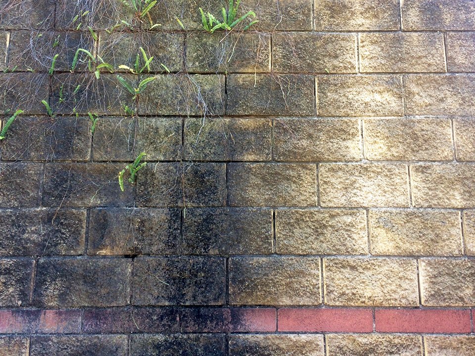 Bricks before being professionally pressure cleaned
