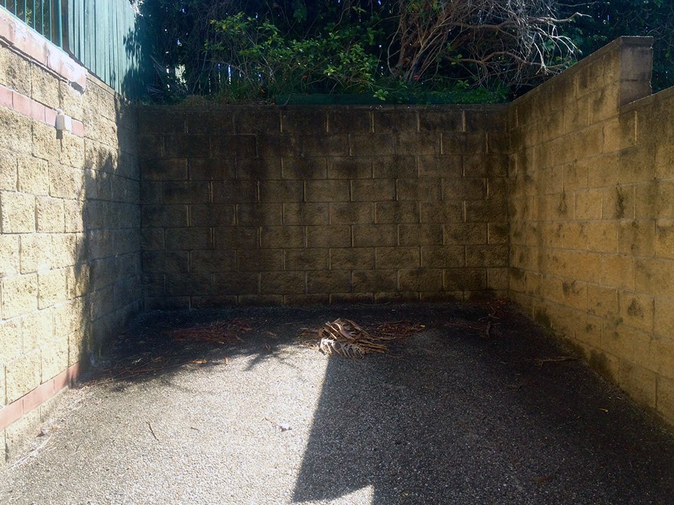 Courtyard before being professionally cleaned