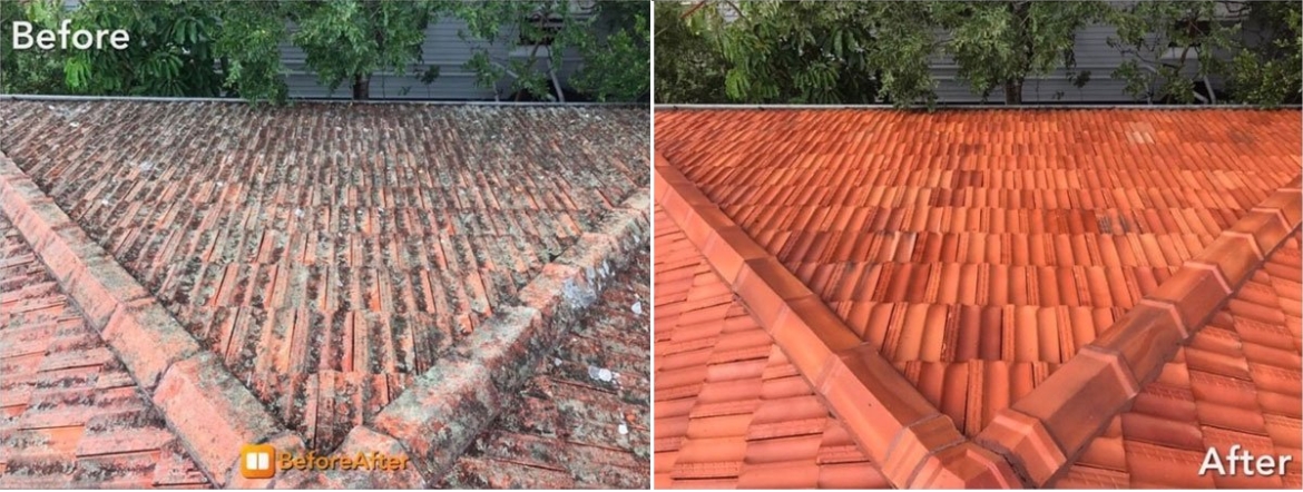 Before and after roof cleaning photograph