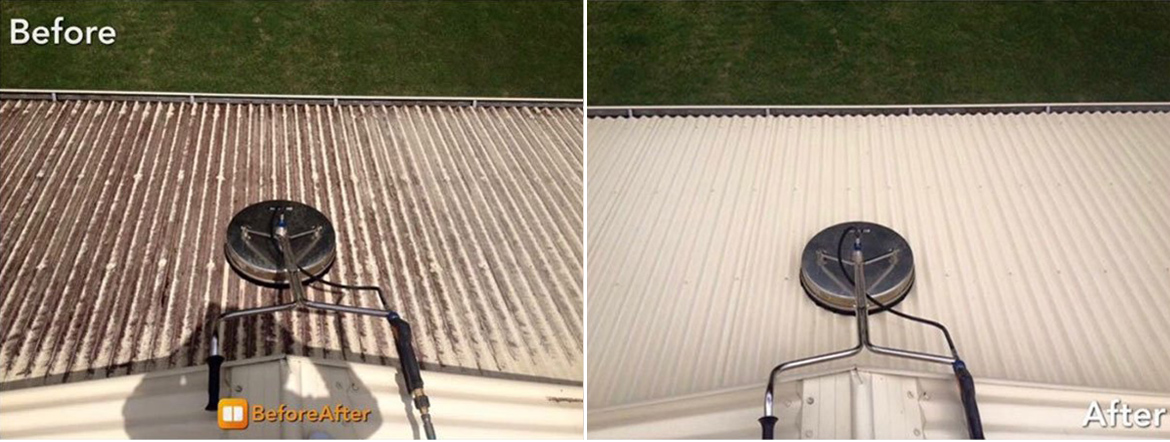 Before and after professional roof clean photo